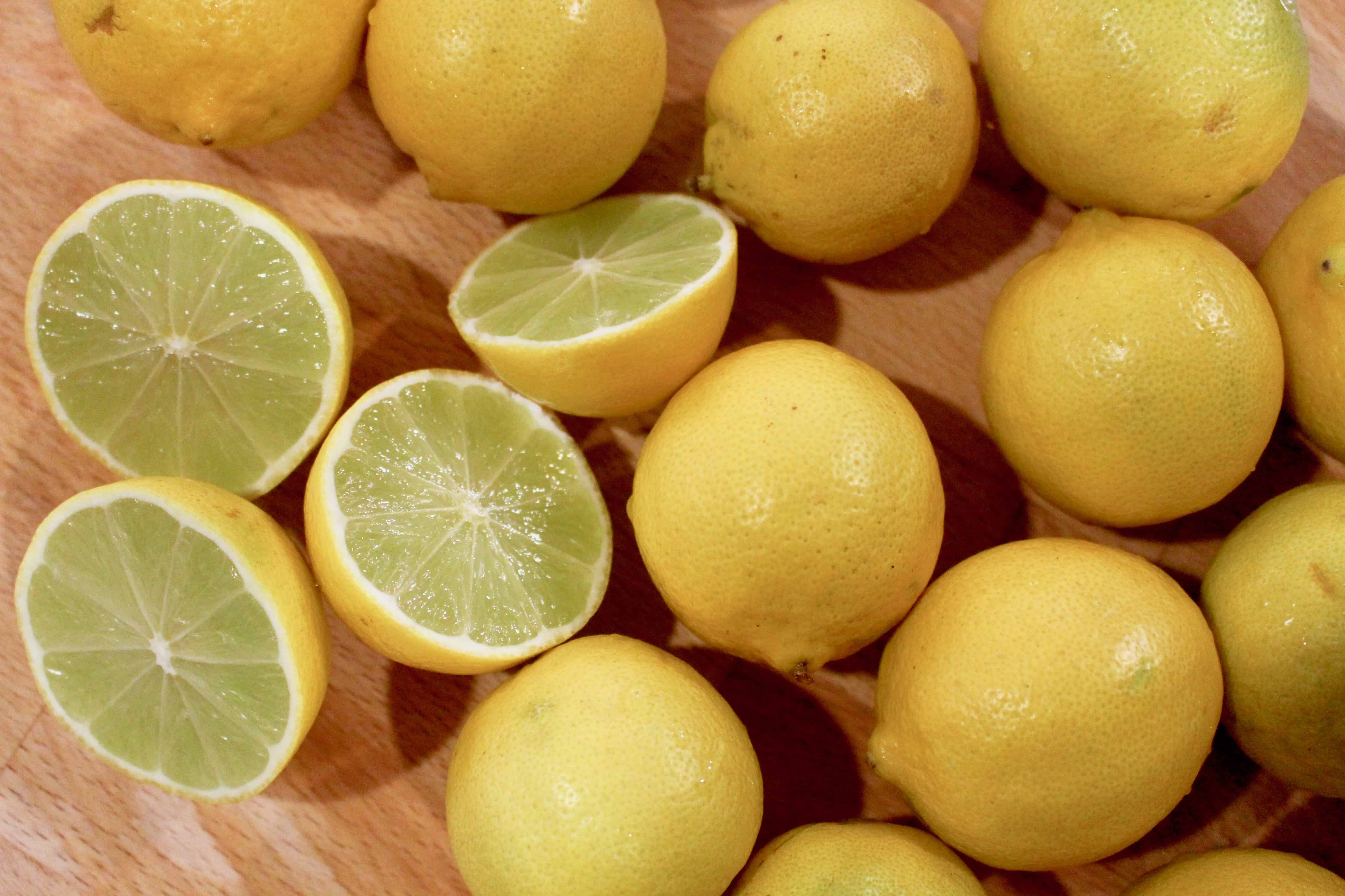 Lemon Lemon Loaf - 23.jpg